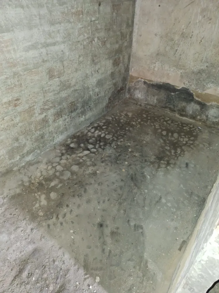 Débarras à Saint Victoret (25)