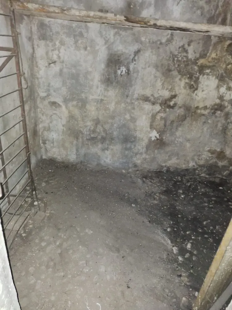 Débarras à Saint Victoret (28)